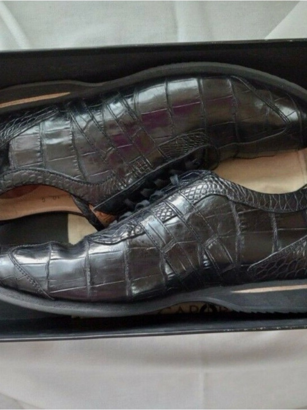 Caporicci 9412 genuine alligator made 100% in Italy Lace-Up Sneakers 🇮🇹
